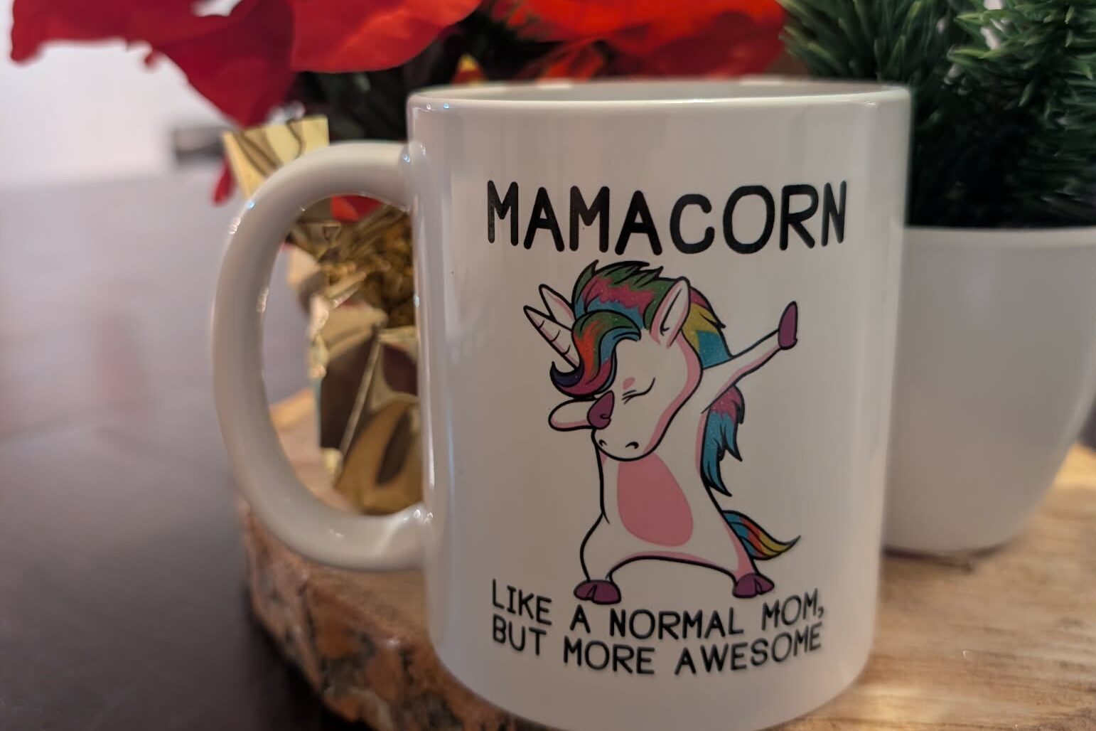 Le plus beau cadeau n’était pas sous le sapin (il était dans l’entrée)